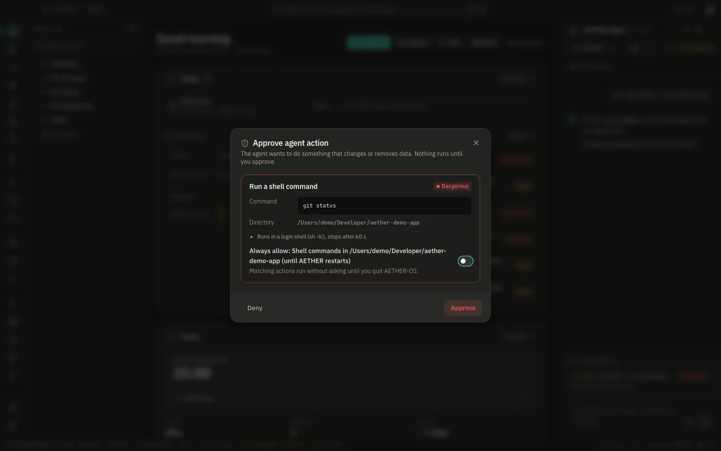 The approval dialog for an agent action, with a preview and warnings
